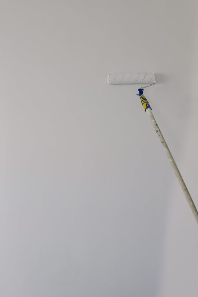diy vs. professional house painters in dublin: what you should consider